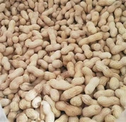 Маленький японський смажений арахіс в шкаралупі