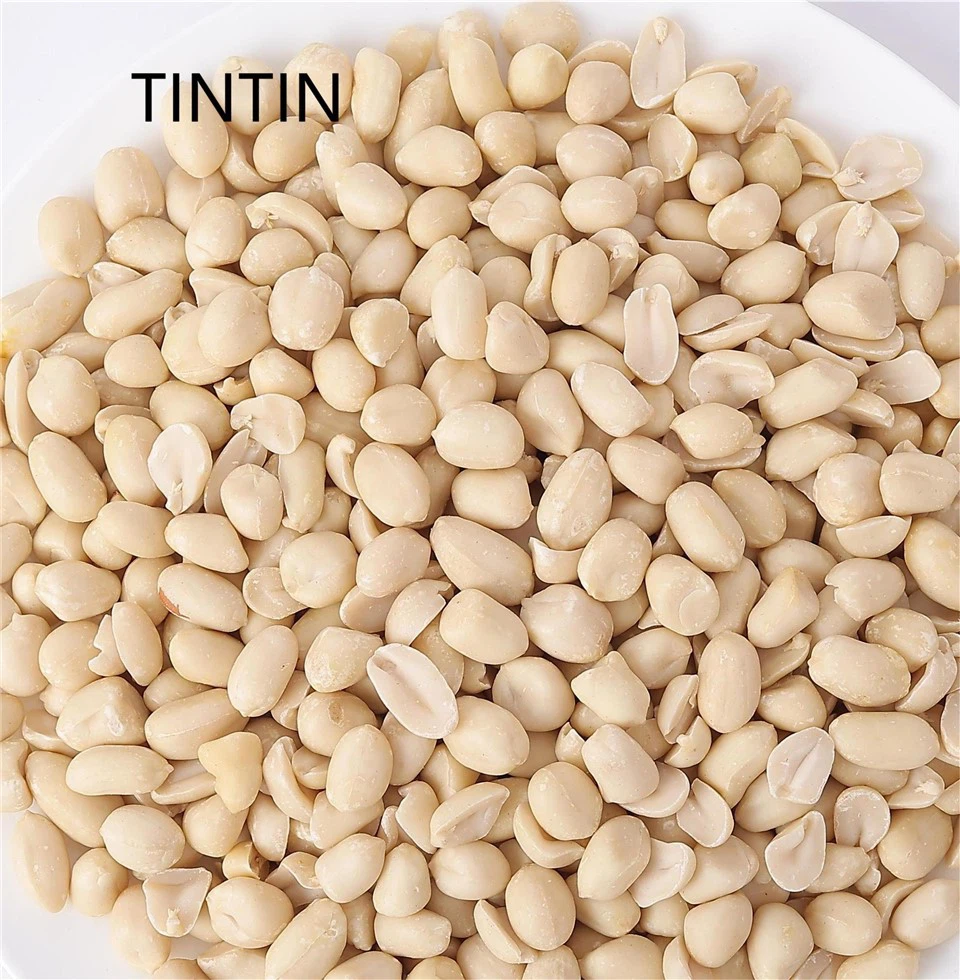 Discount Sale Now New Crop Blanched Peanuts Kernels