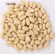 Гарячі продажі бланшованих ядер арахісу