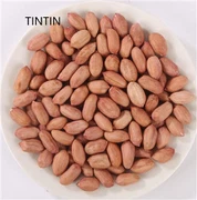 Високоякісний китайський постачальник ядер арахісу