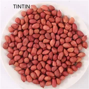 Гарячий продаж ядра арахісу з червоною шкіркою в Китаї