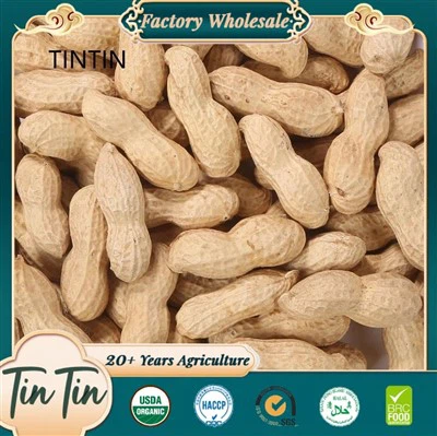 Китайський смажений арахіс у шкаралупі з низьким вмістом і винятковою якістю
